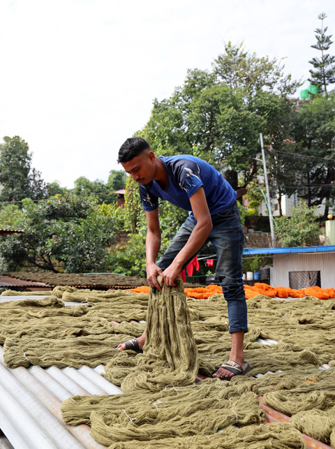 Wool drying