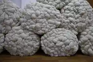 Rugs Material